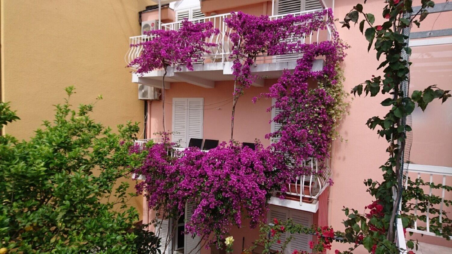 Apartments Ora Orebić Εξωτερικό φωτογραφία